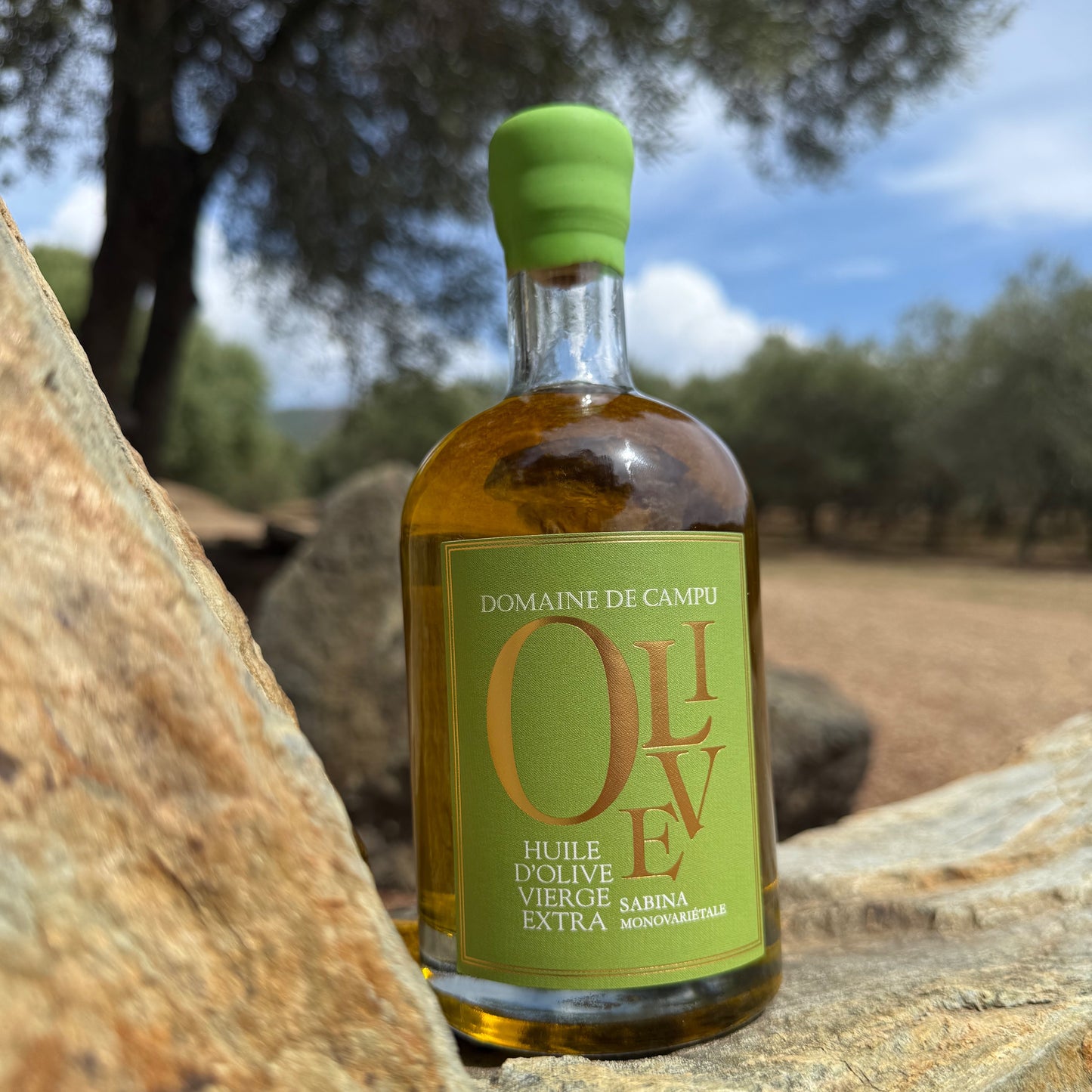 Huile d’olive monovariétale "Sabina" - 50cl