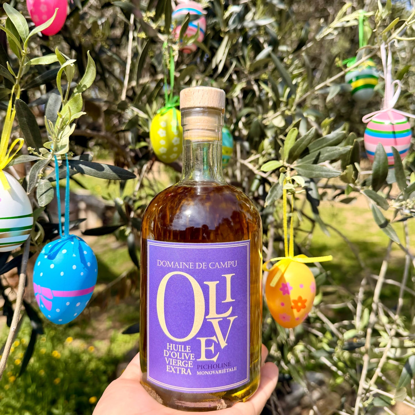 Huile d’olive monovariétale "Picholine" - 50cl
